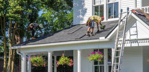 Best Chimney Flashing Repair  in Palo, IA